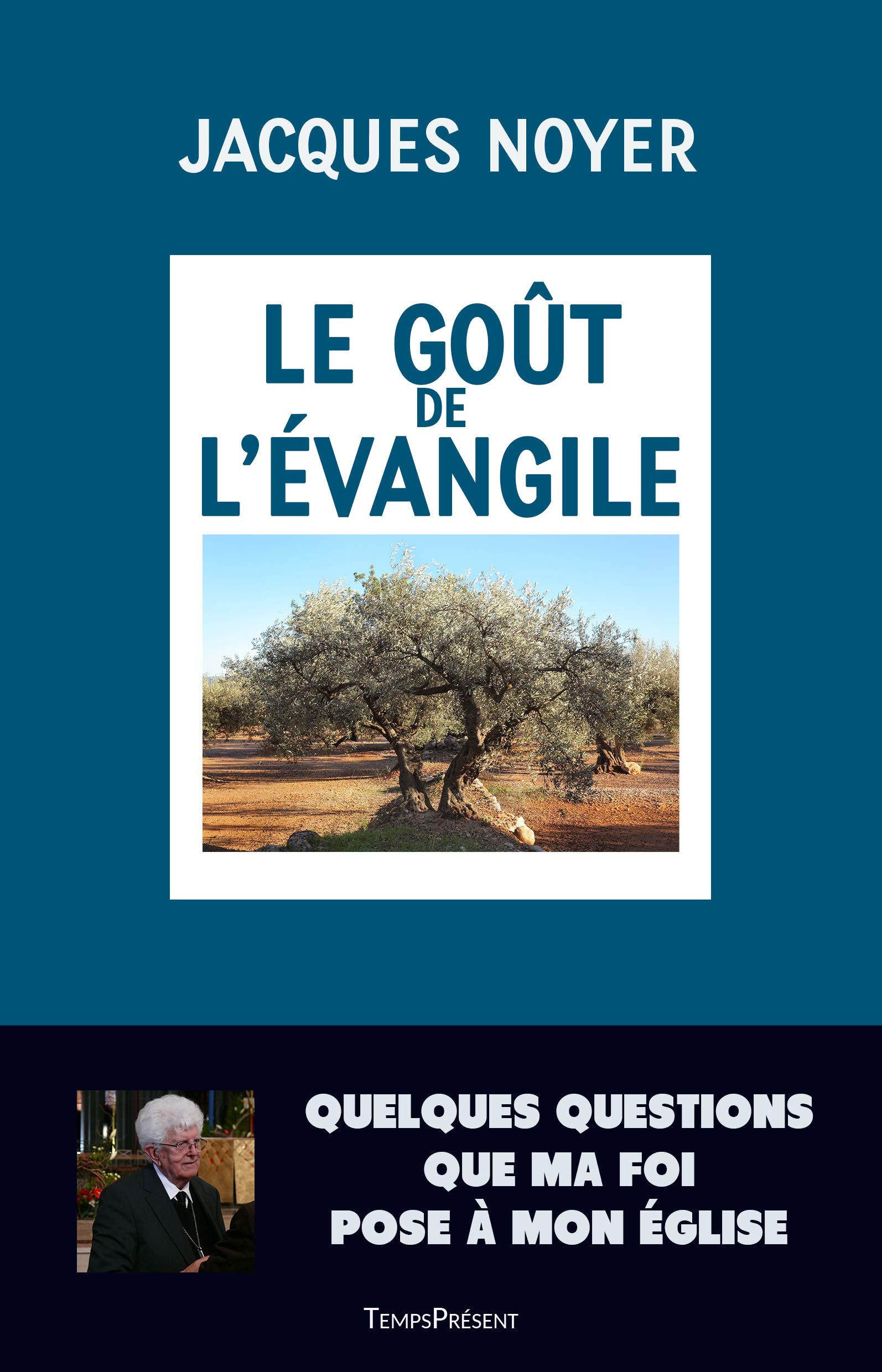 Le goût de l'Évangile: Quelques questions que ma foi pose à mon Église Religion & Esotericism
