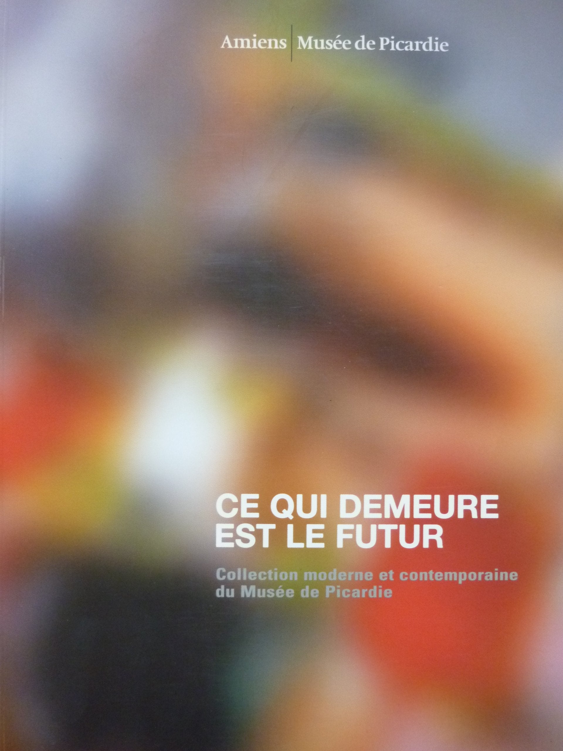 Ce qui demeure est le futur. Collection moderne et contemporaine du Musée de Picardie - Amiens Books