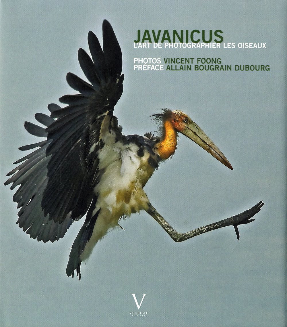 Javanicus: L'art de photographier les oiseaux Books