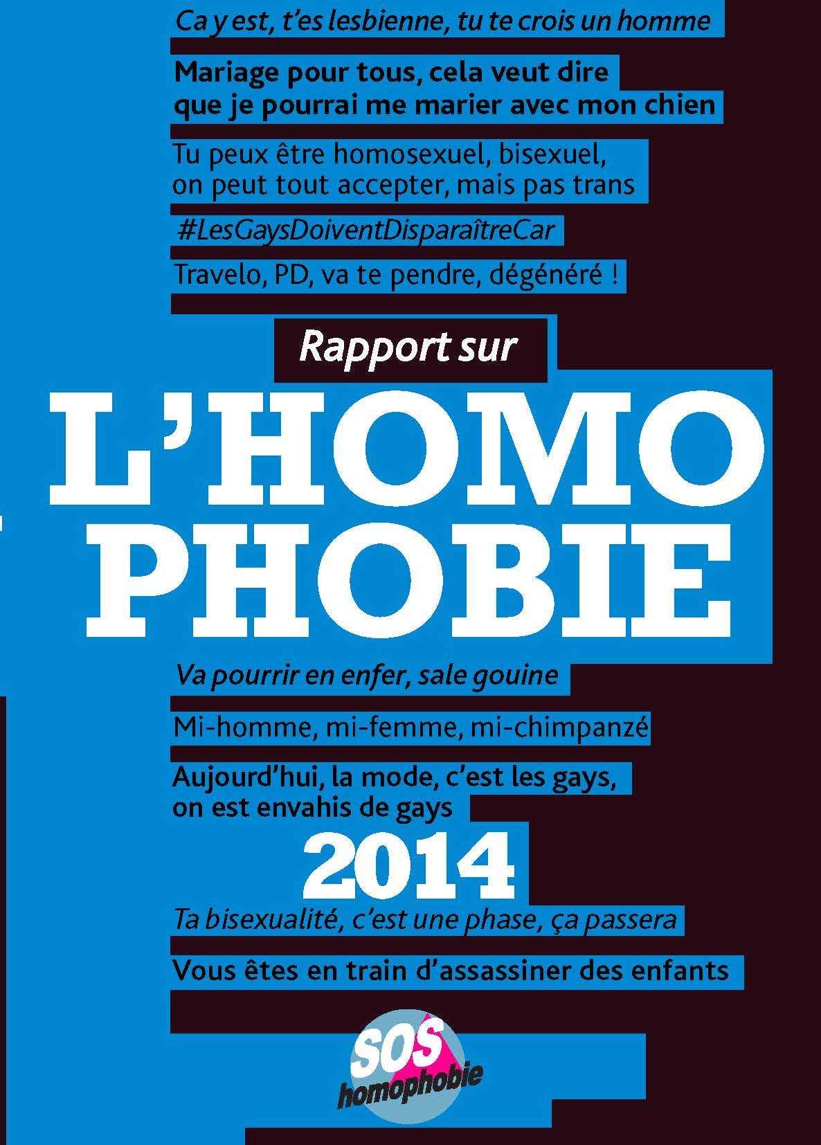 Rapport sur l'homophobie (Edition 2014) book