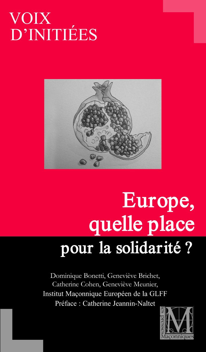 EUROPE , QUELLE PLACE POUR LA SOLIDARITE ? - GLFF / VOIX D'INITIEES Books
