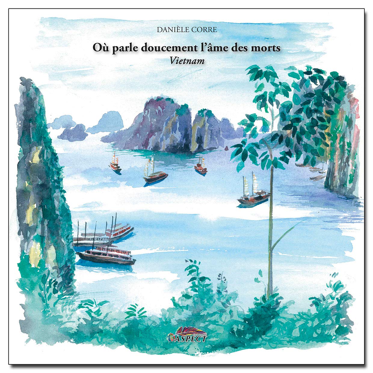 Où parle doucement l'âme des morts- Vietnam book