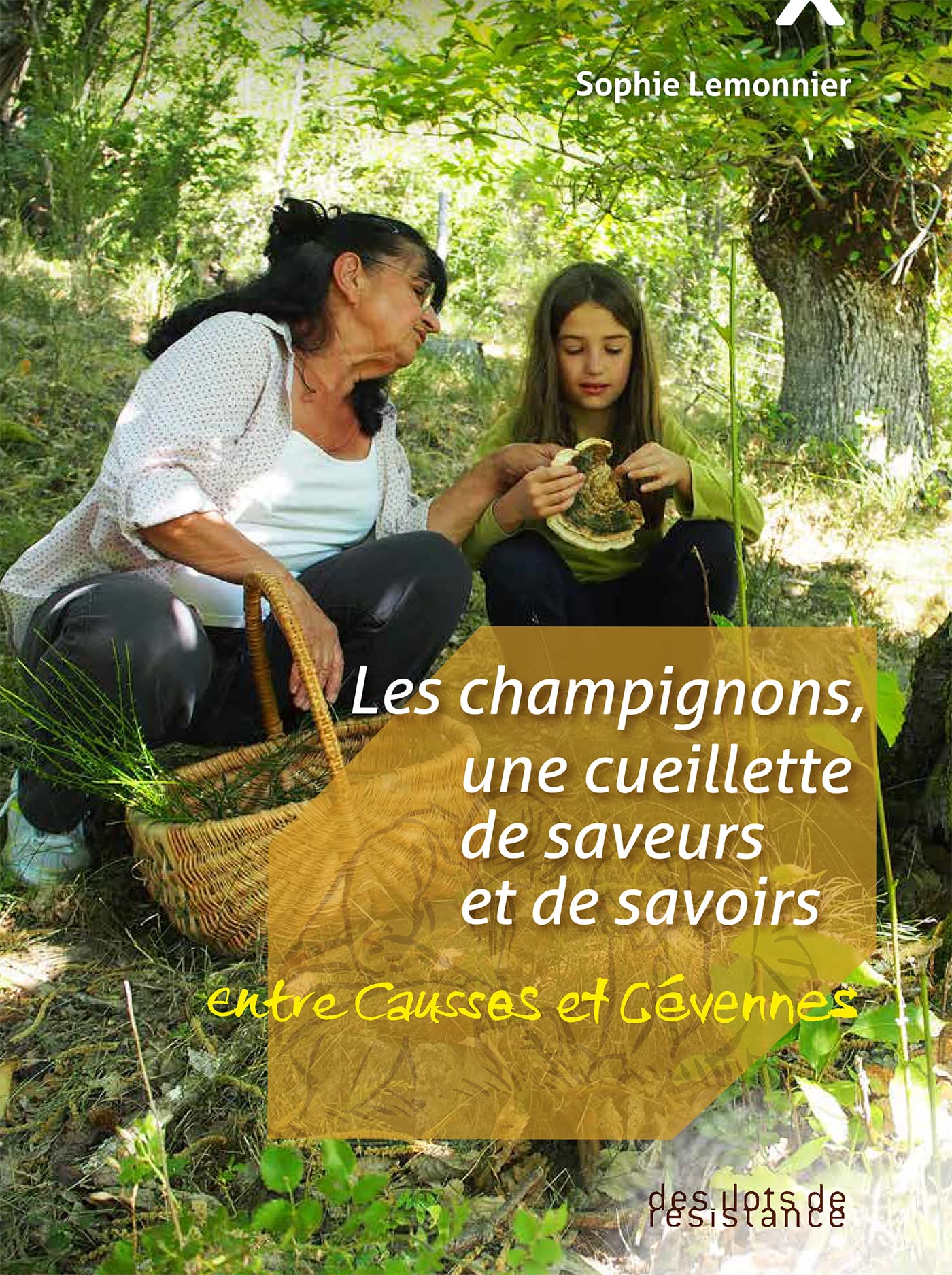 LES CHAMPIGNONS, UNE CUEILLETTE DE SAVOIRS ET DE SAVEURS: Entre Causse et Cévennes book