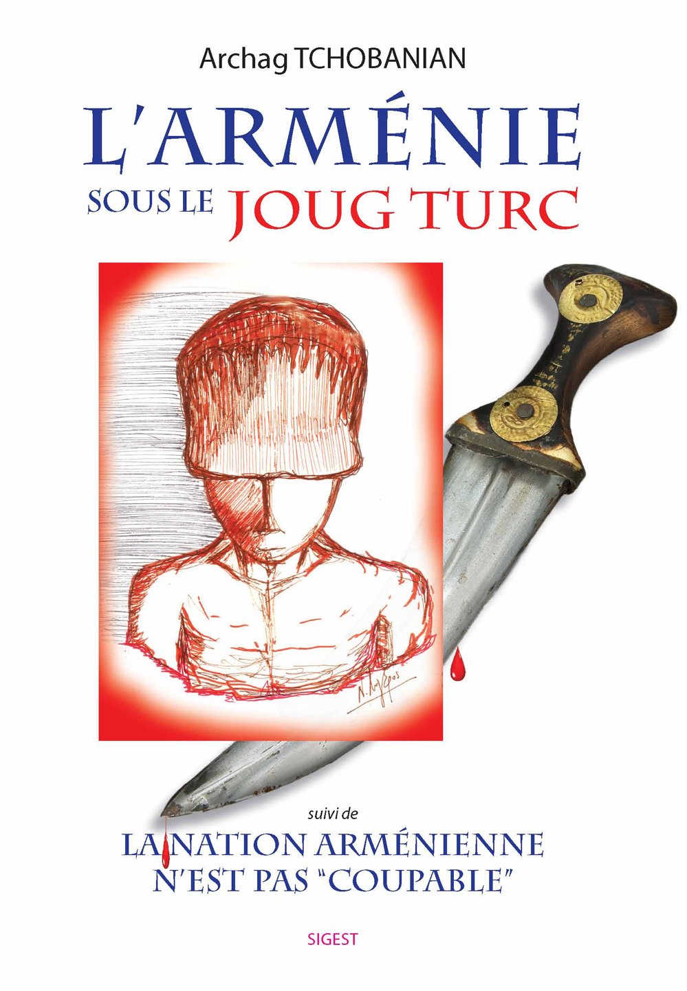 L'Arménie sous le joug Turc book