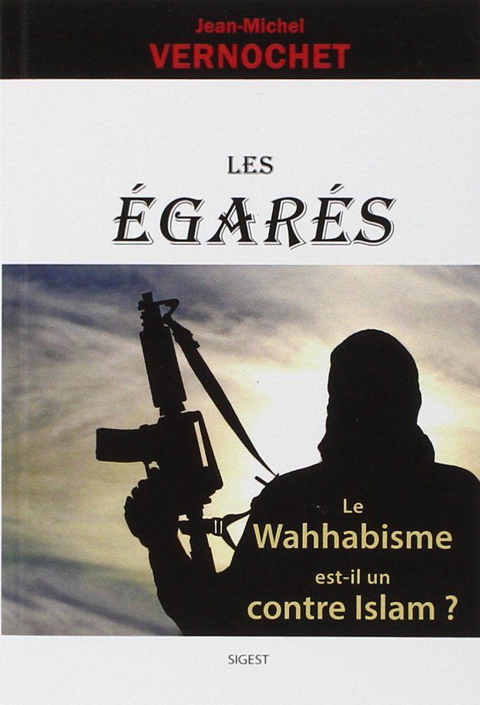Les Egarés : Le Wahhabisme est-il un contre Islam ? book