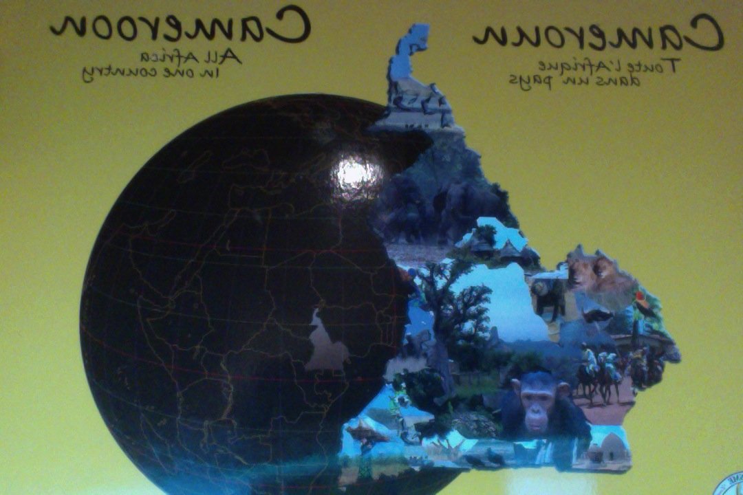 Cameroun ~ Toute l'Afrique dans un pays. book