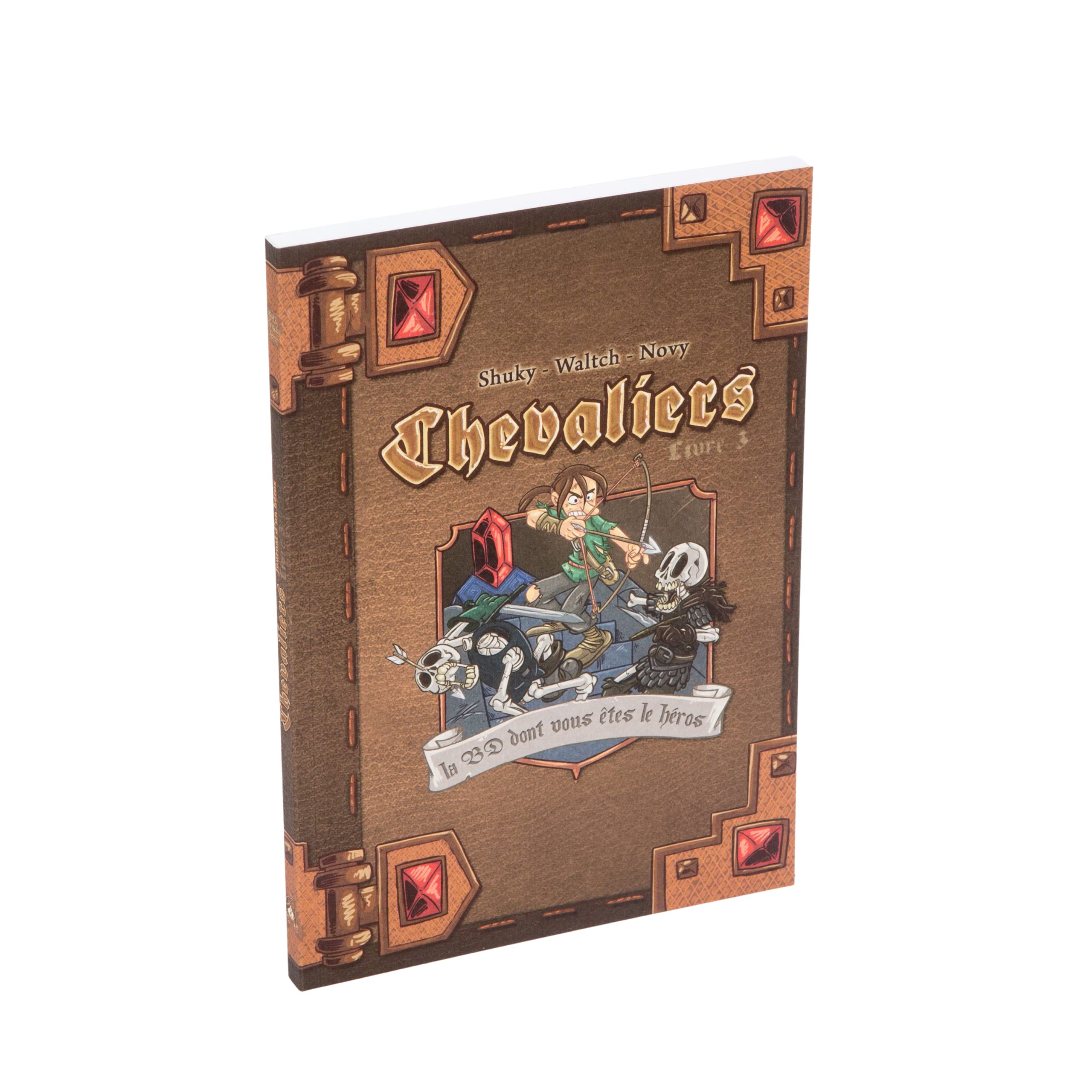 Chevaliers Livre 3 - la Cite Ensevelie book