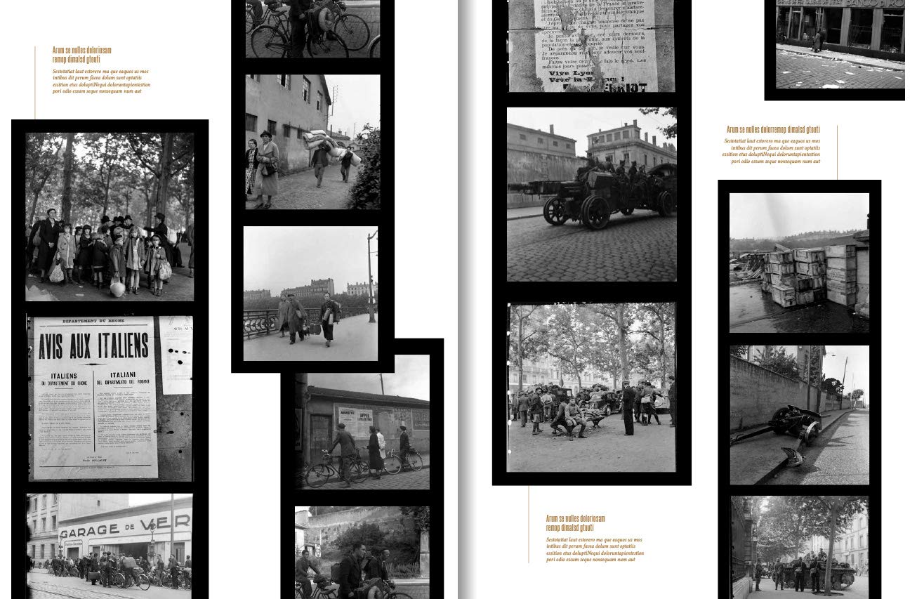 Une étrange défaite ? Mai-juin 1940: Mai-juin 1940 Politics & History