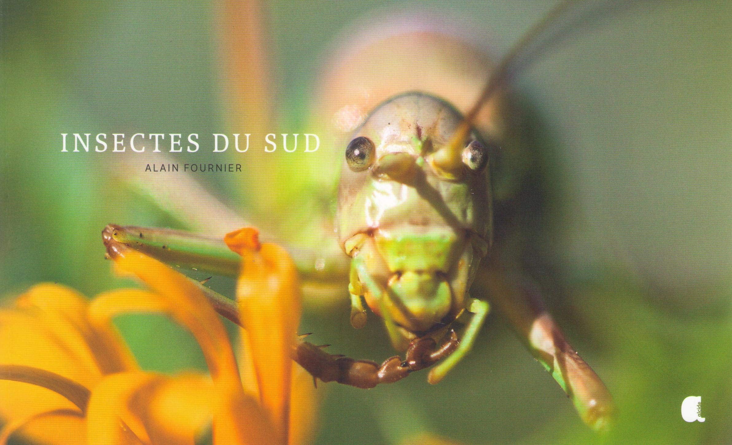 Insectes du sud Books