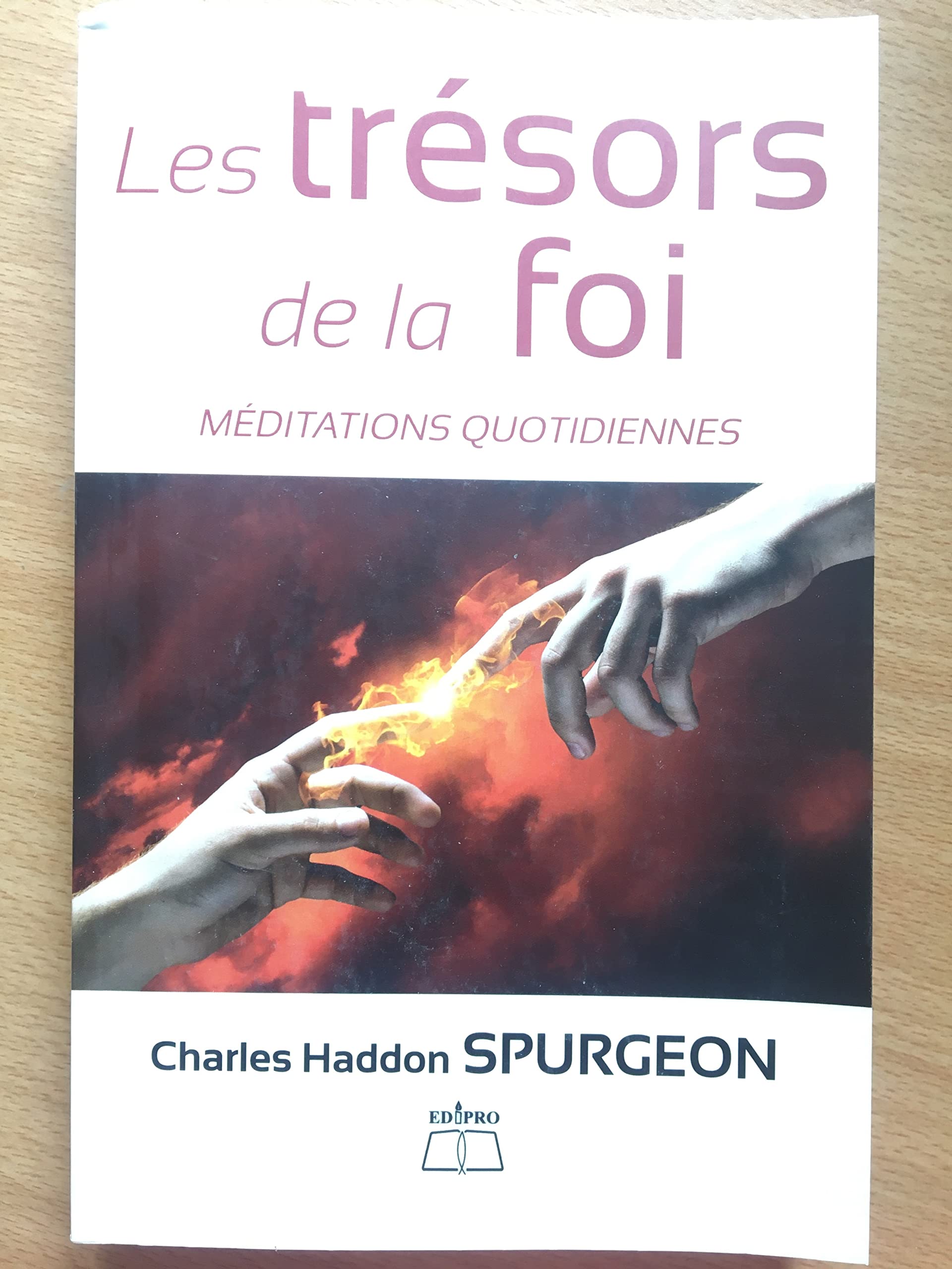 LES TRESORS DE LA FOI (méditations quotidiennes) book