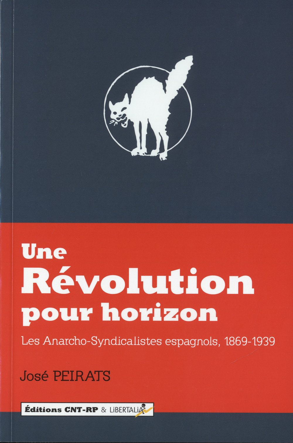 Anarchisme et révolution en Espagne : 1869-1939 : un aperçu historique book