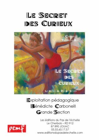 Le secret des curieux : fichier grande section de maternelle book