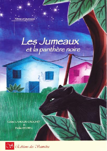 Les jumeaux et la panthère noire book