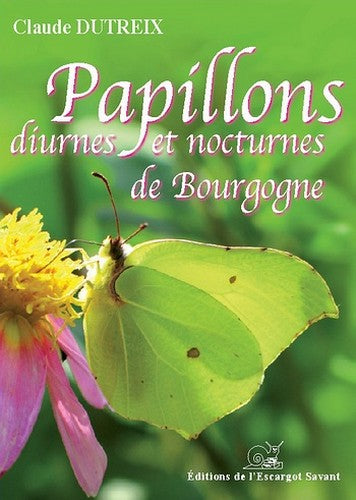 Papillons diurnes et nocturnes de Bourgogne book
