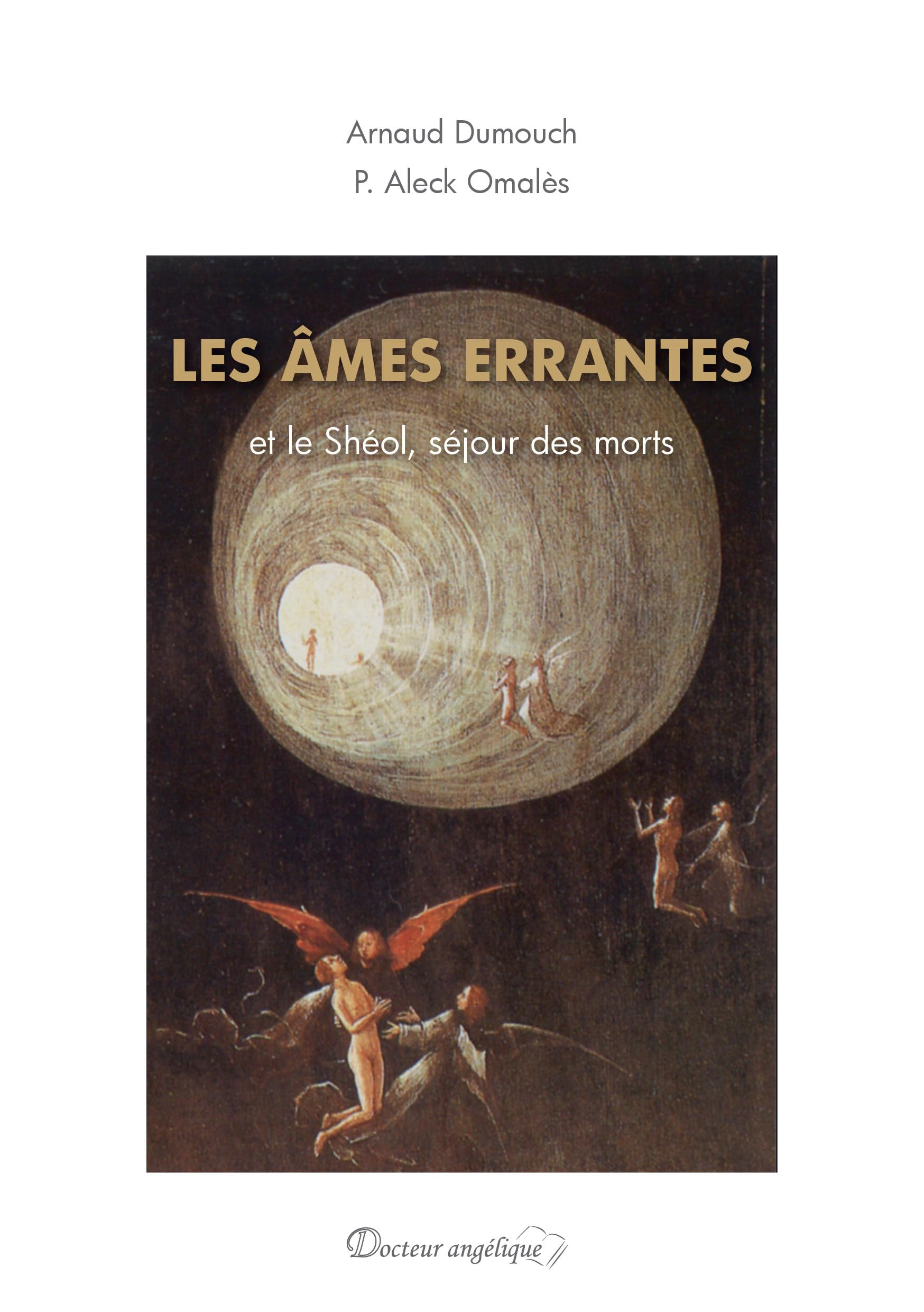 Les âmes errantes et le sheol, séjour des morts book