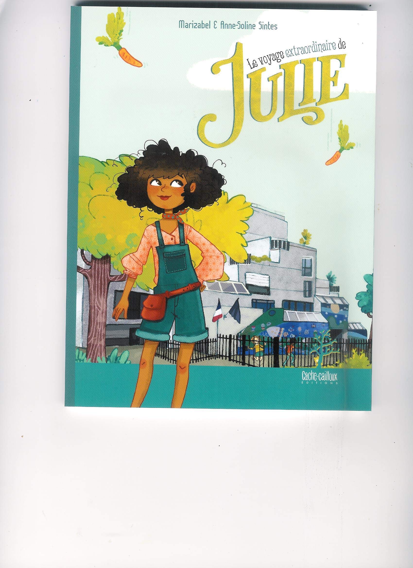 Le voyage extraordinaire de Julie book