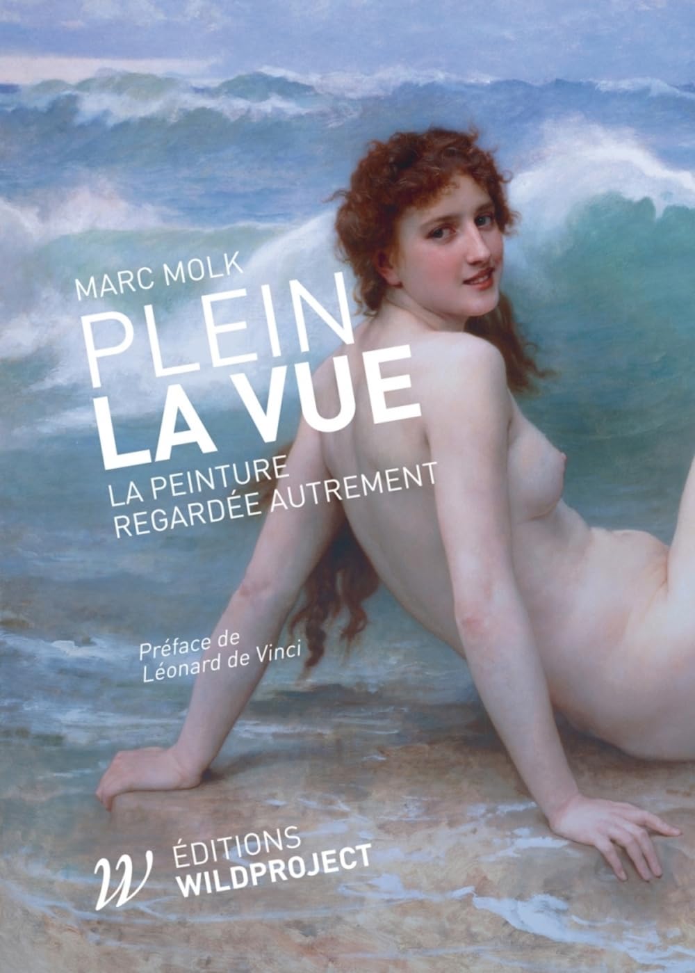 Plein la vue: La peinture regardée autrement book