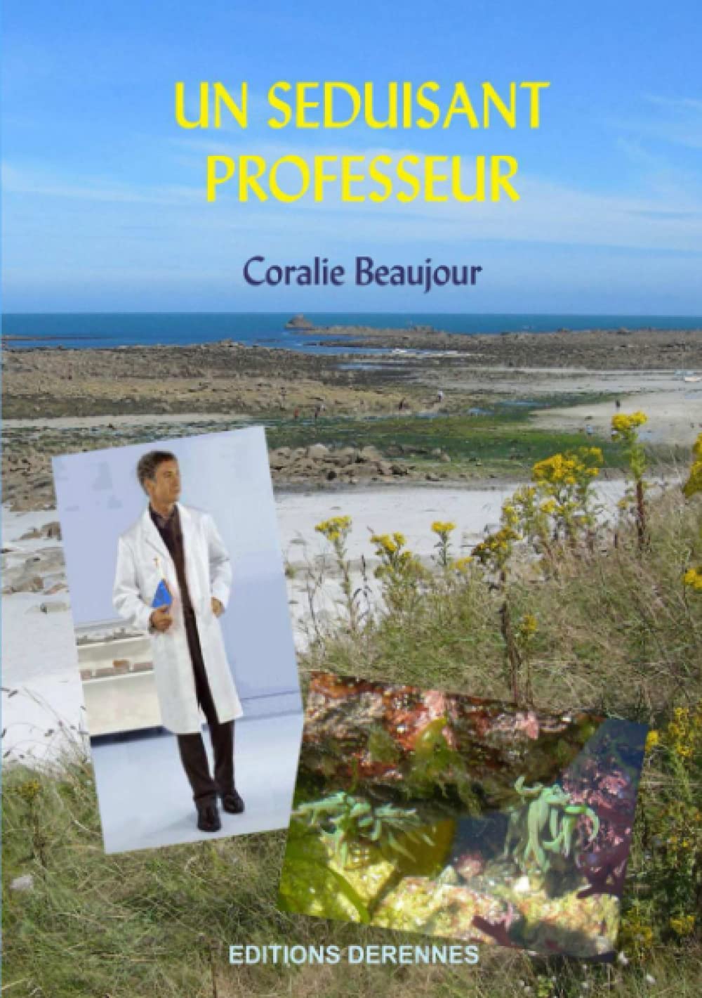 un séduisant professeur book