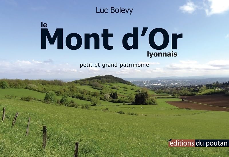 Le Mont d'Or lyonnais: Petit et grand patrimoine book