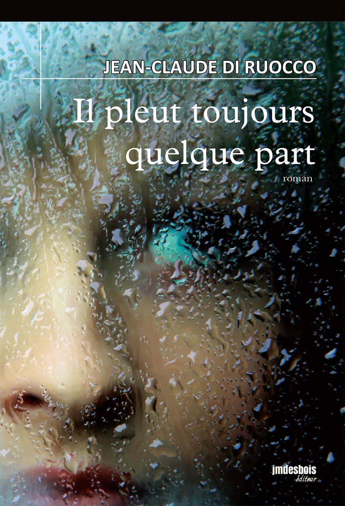 Il pleut toujours quelque part book