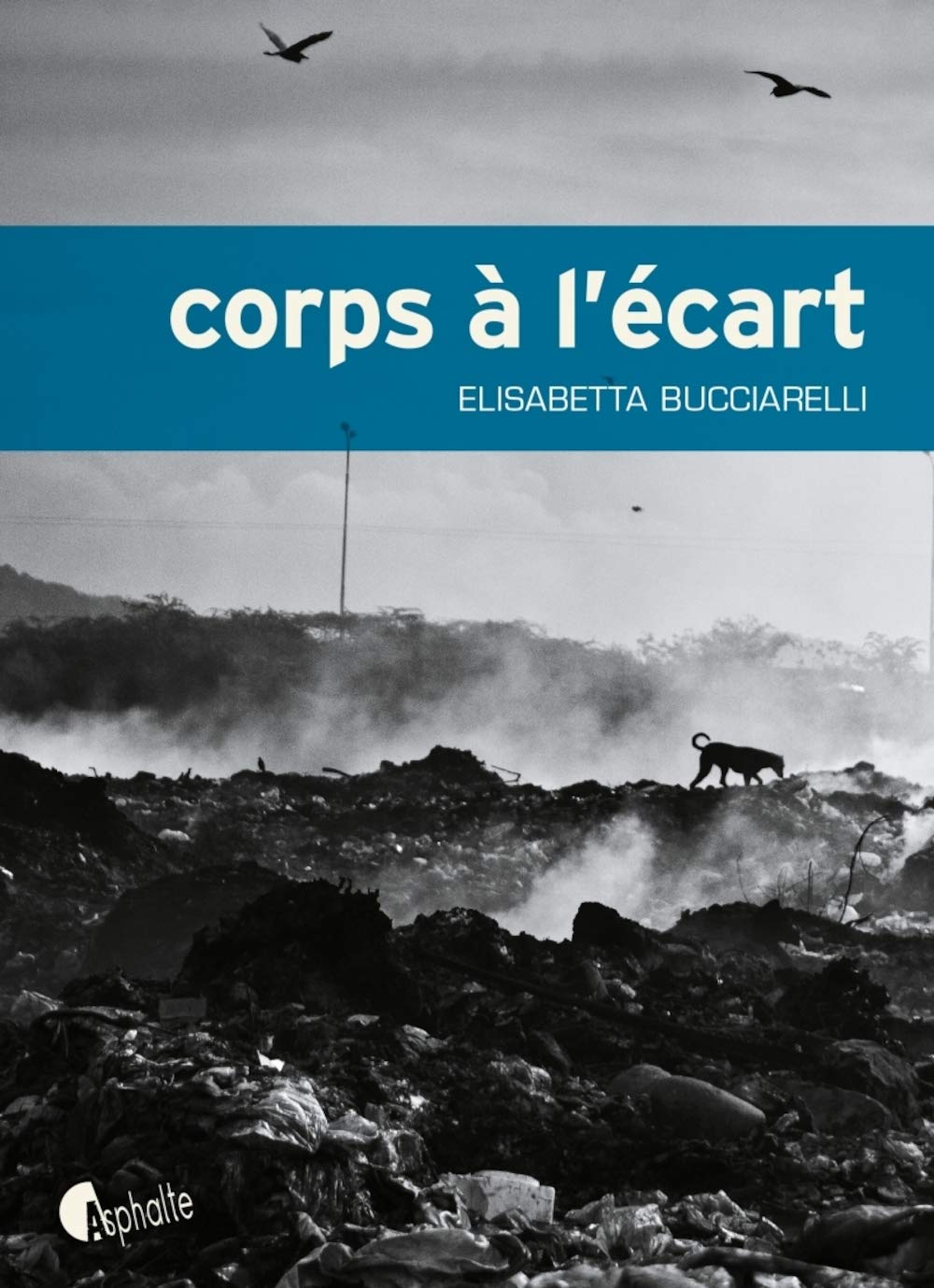 Product Image: Corps à l'écart