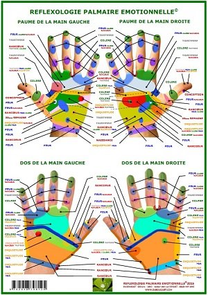 Planche de Réflexologie Palmaire Émotionnelle A4 book