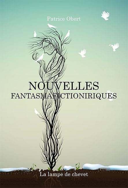 Nouvelles fantasmafictioniriqu book
