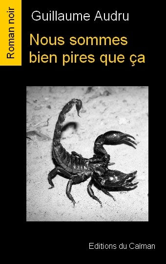 Nous sommes bien pires que ça book