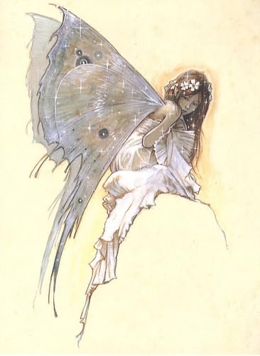 Petit cahier féérique n°4: Celtic Faeries Books