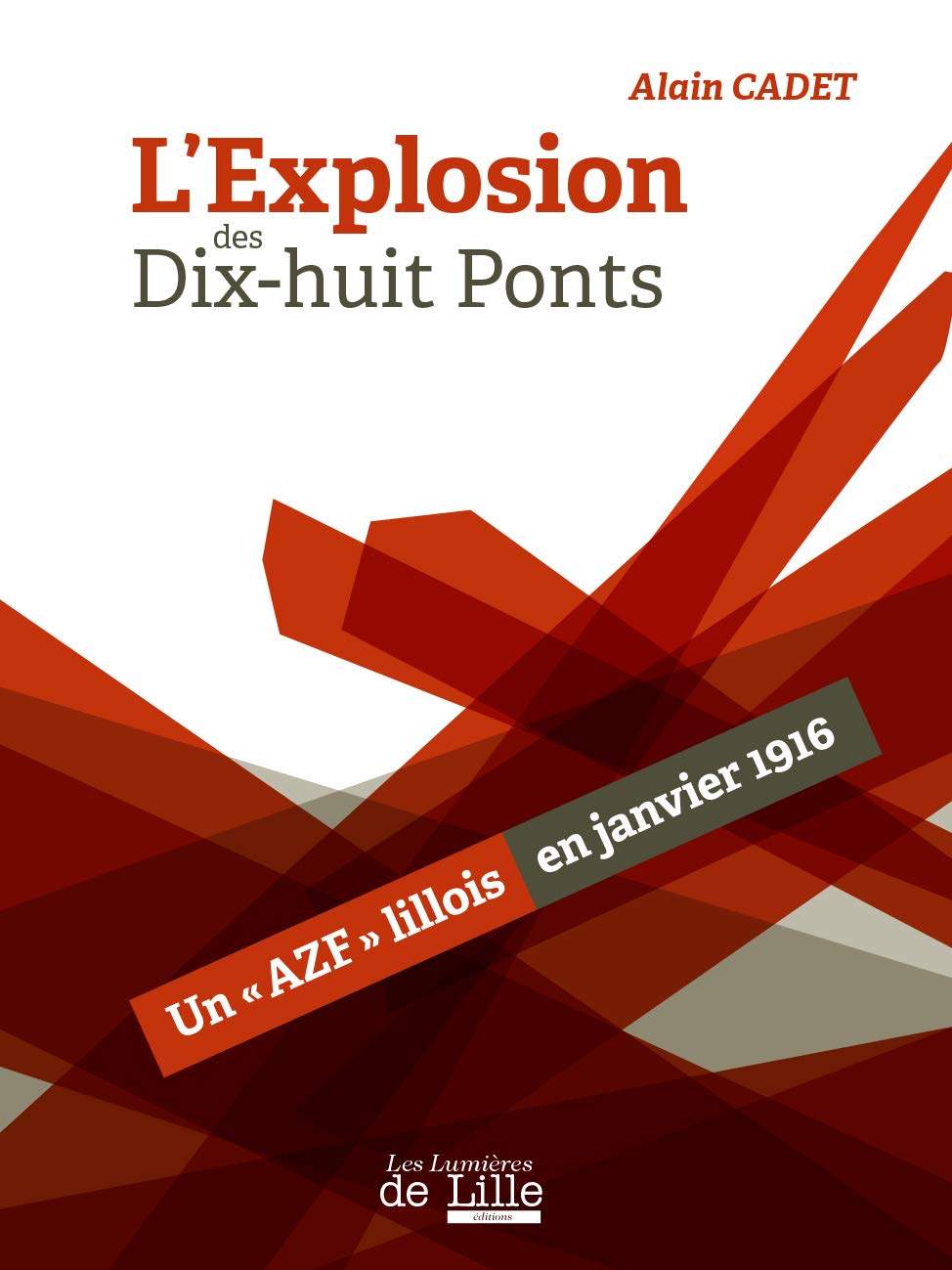 L'explosion des dix-huit ponts: Un "AZF" lillois en janvier 1916 book