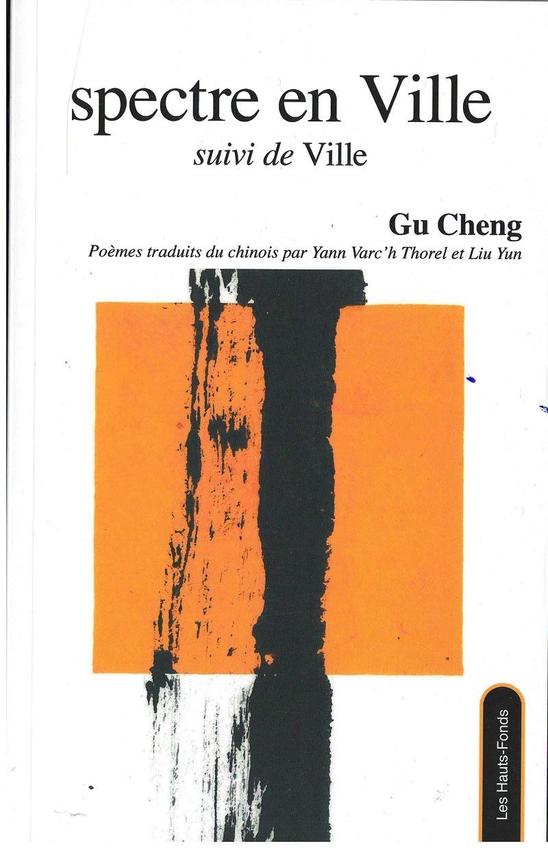 Spectre en Ville suivi de Ville book
