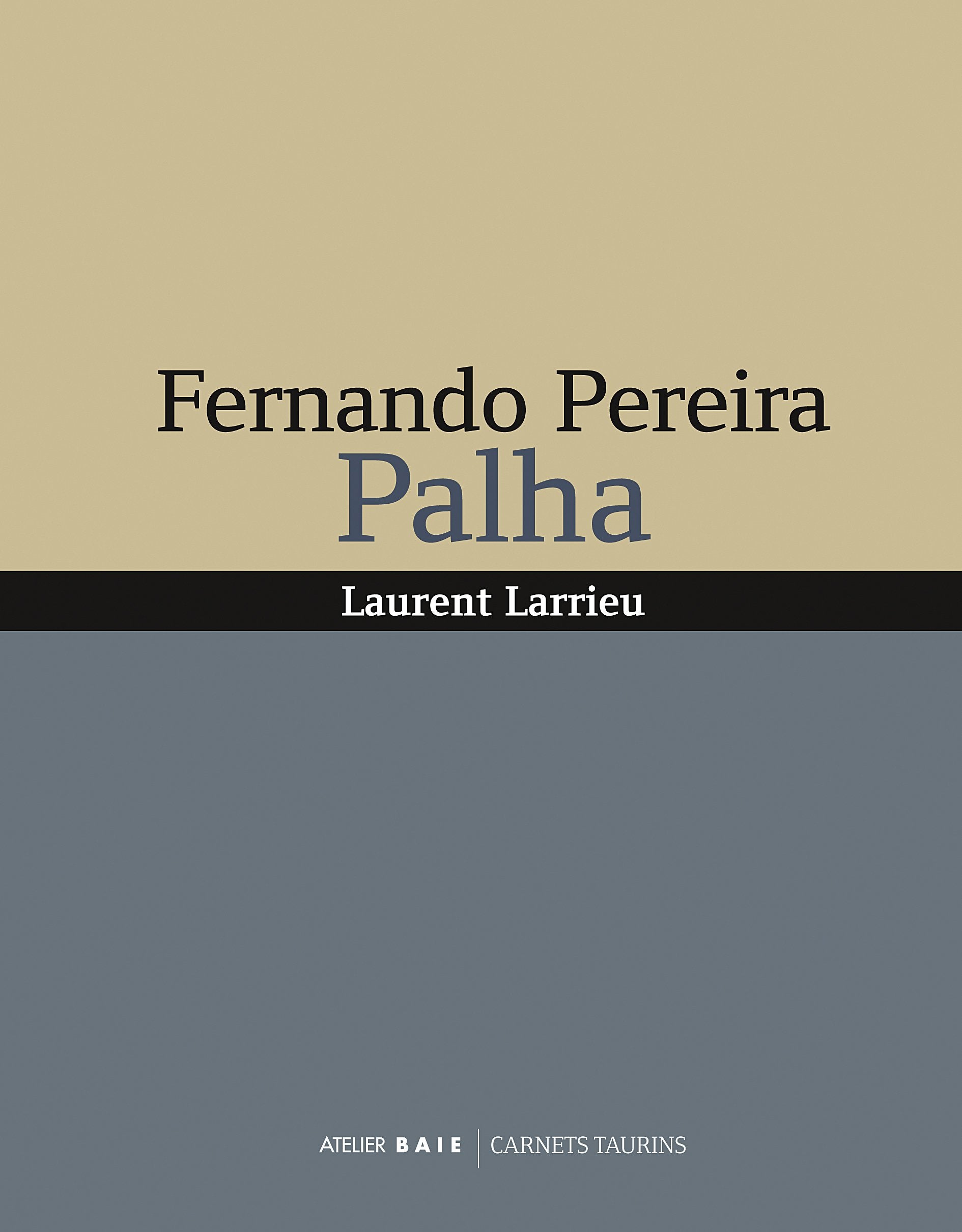 Fernando pereira palha book