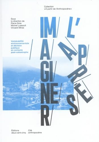 Imaginer l'après: Vulnérabilité environnementale et décision publique en contexte post-catastrophe book
