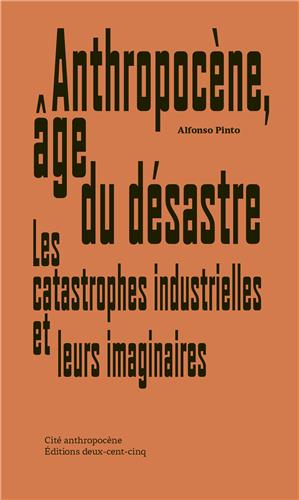 Anthropocène, âge du désastre : les catastrophes industrielles et leurs imaginaires book