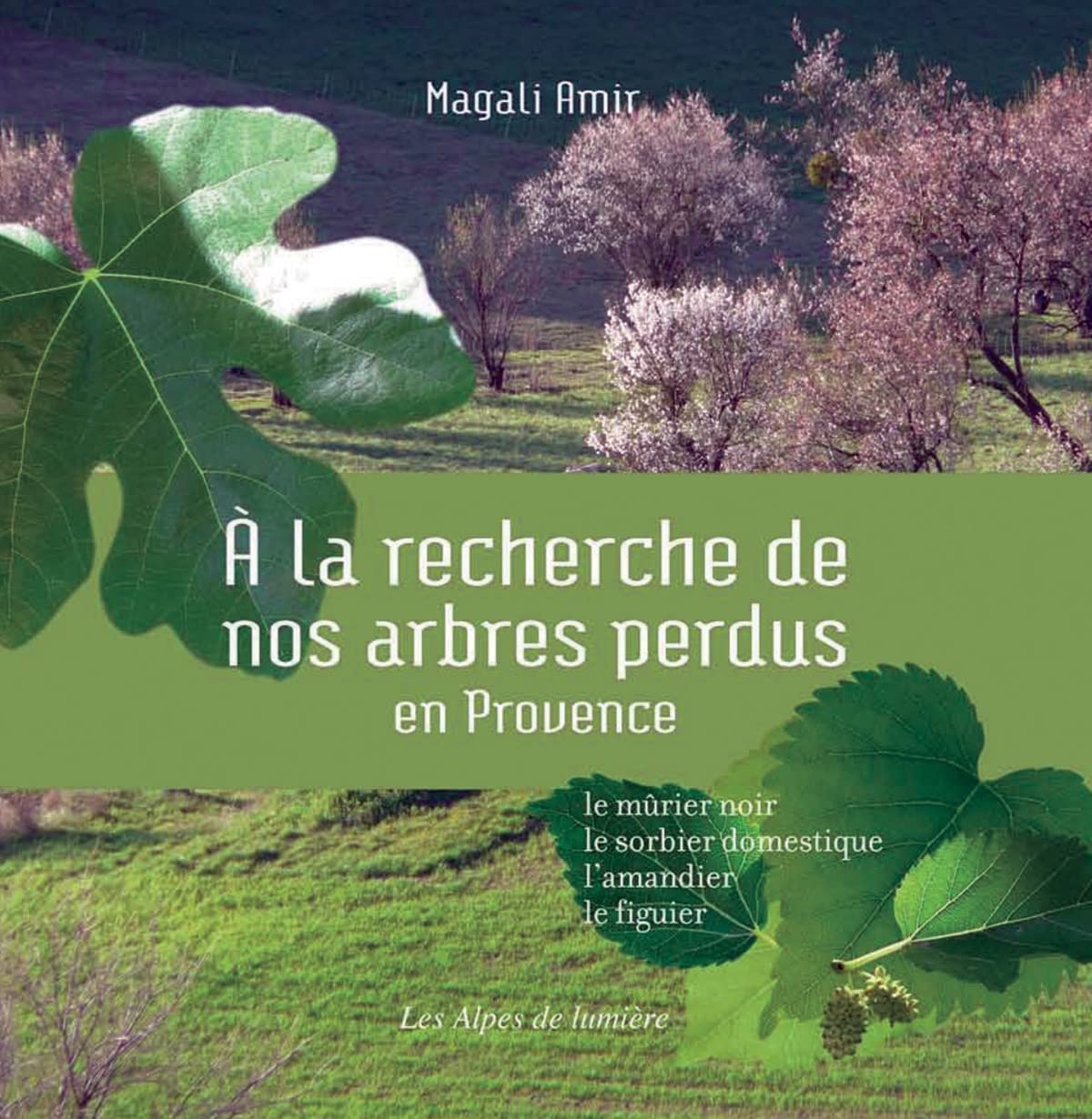 À la recherche de nos arbres perdus en Provence - le mûrier noir, le sorbier domestique, l'amandier, le figuier Film, Art & Culture