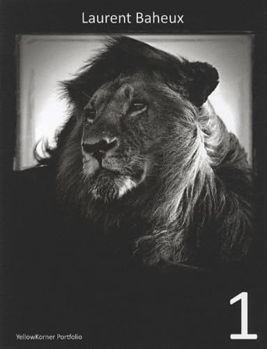 YellowKorner portfolio tome 1 book