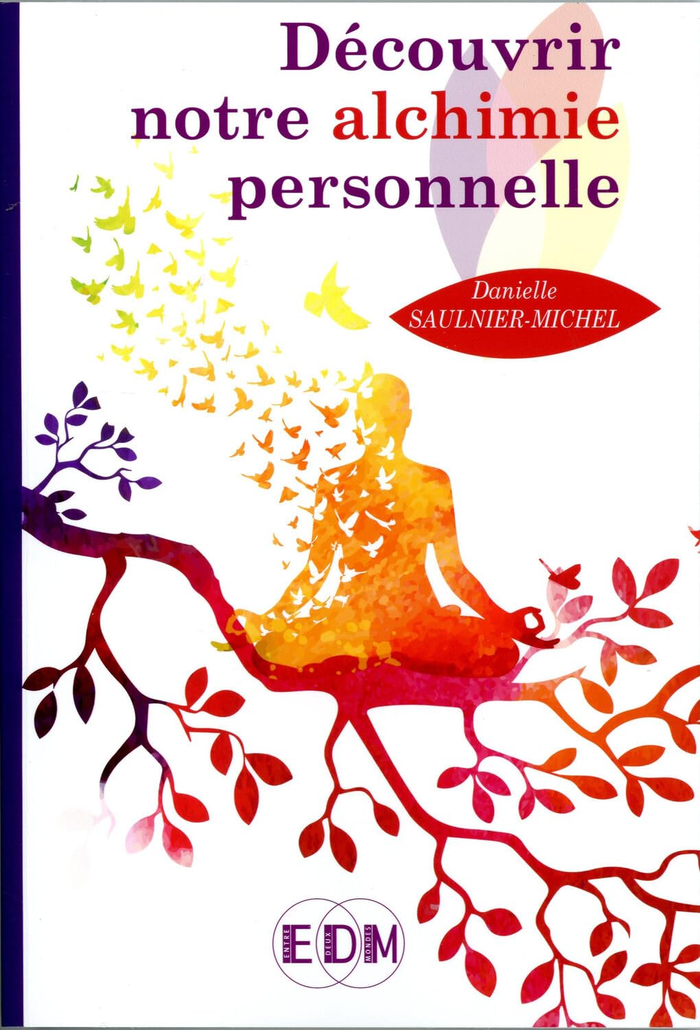 Découvrir notre alchimie personnelle book