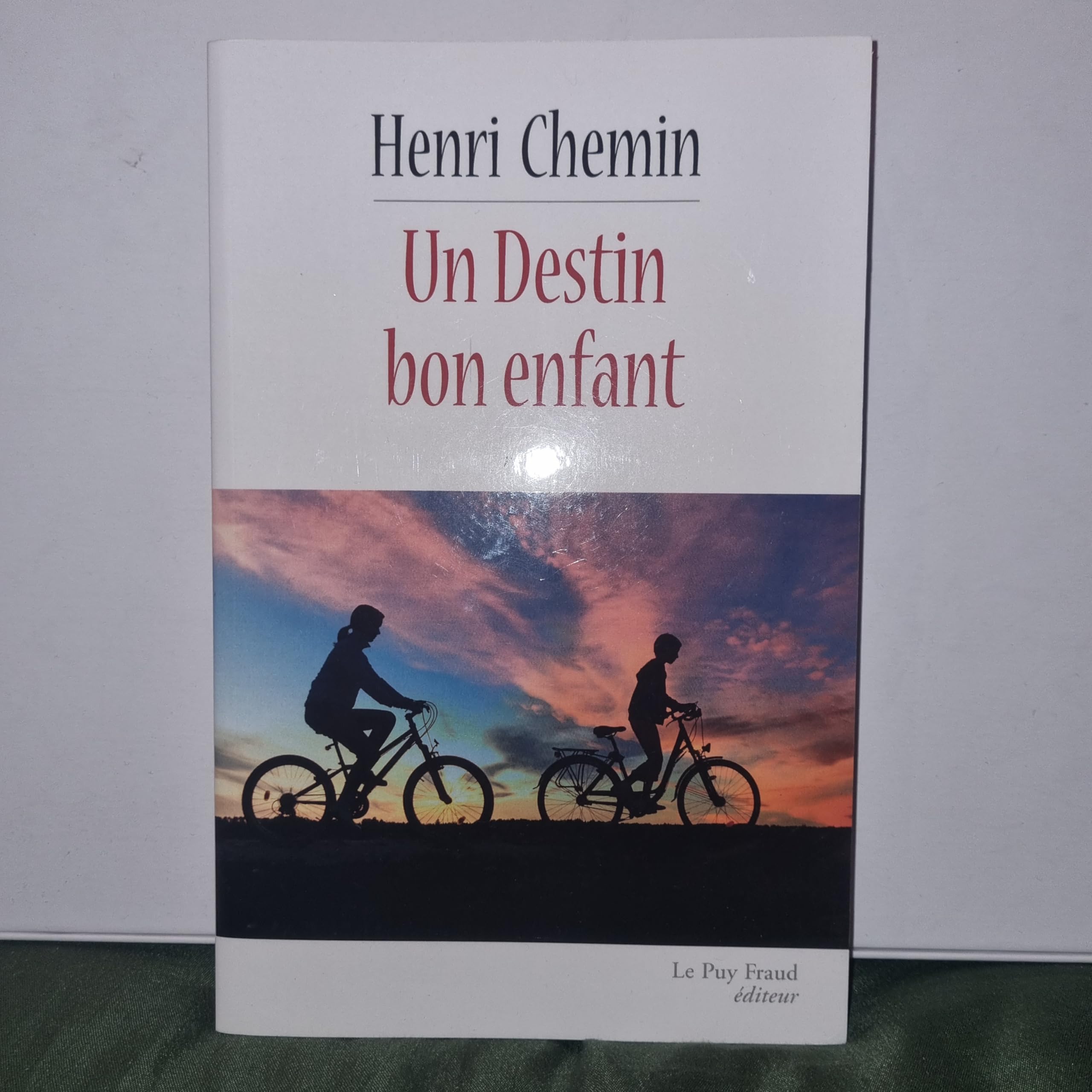 Un destin bon enfant book