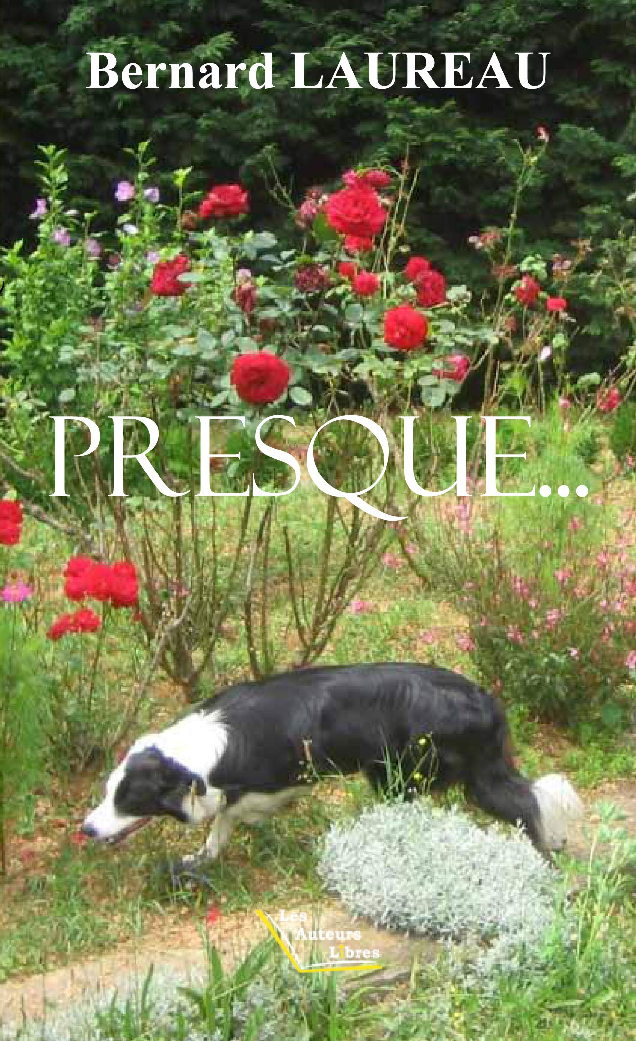Presque book
