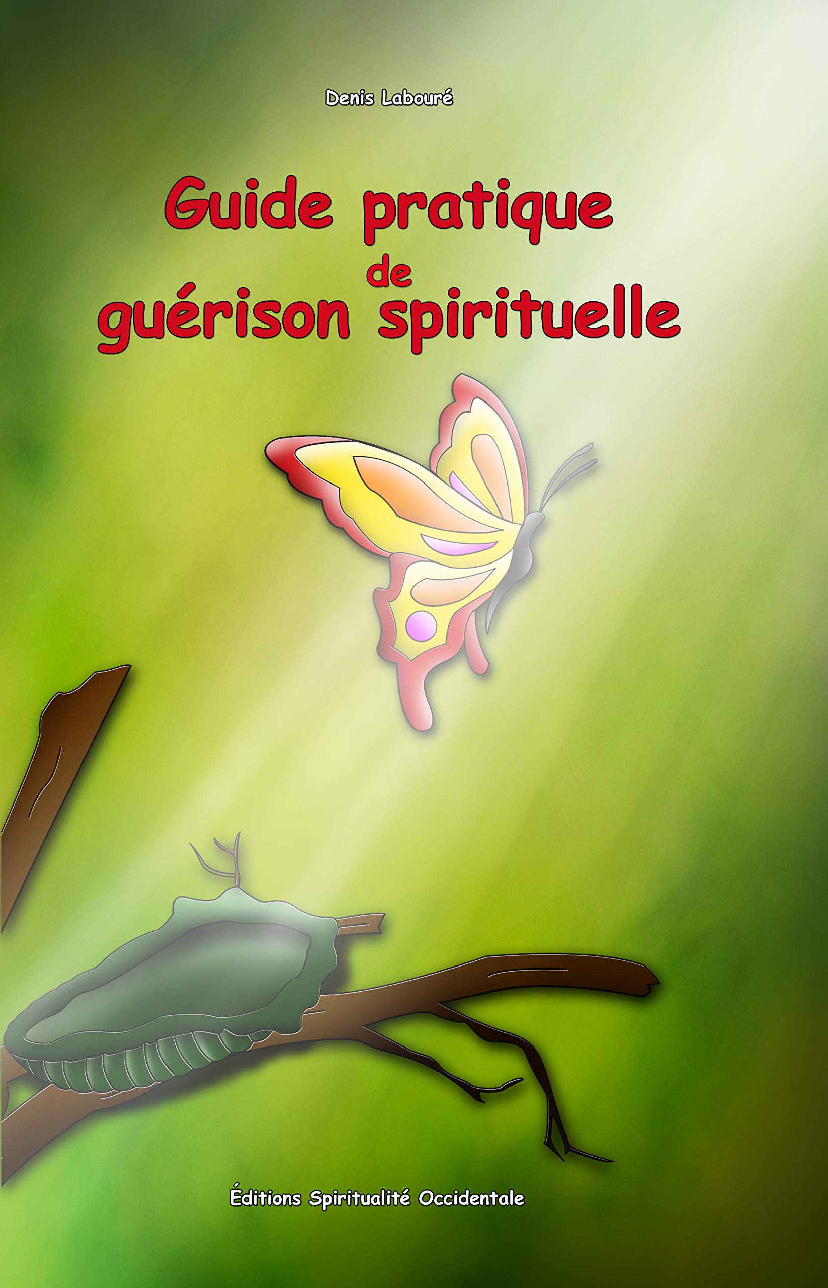 Guide pratique de guérison spirituelle Religion & Esotericism