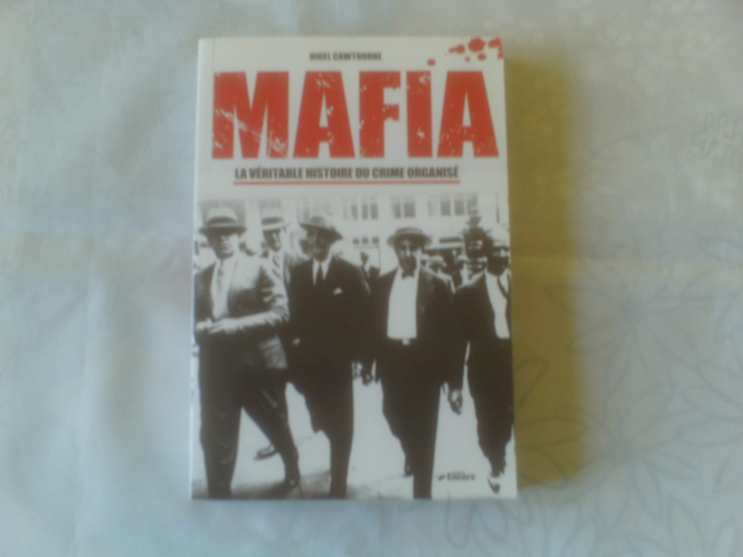 Mafia: La véritable histoire du crime organisé Books