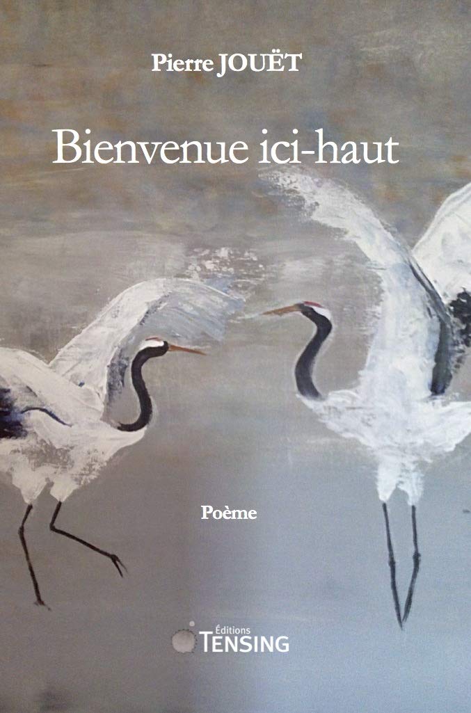 Bienvenue ici-haut book