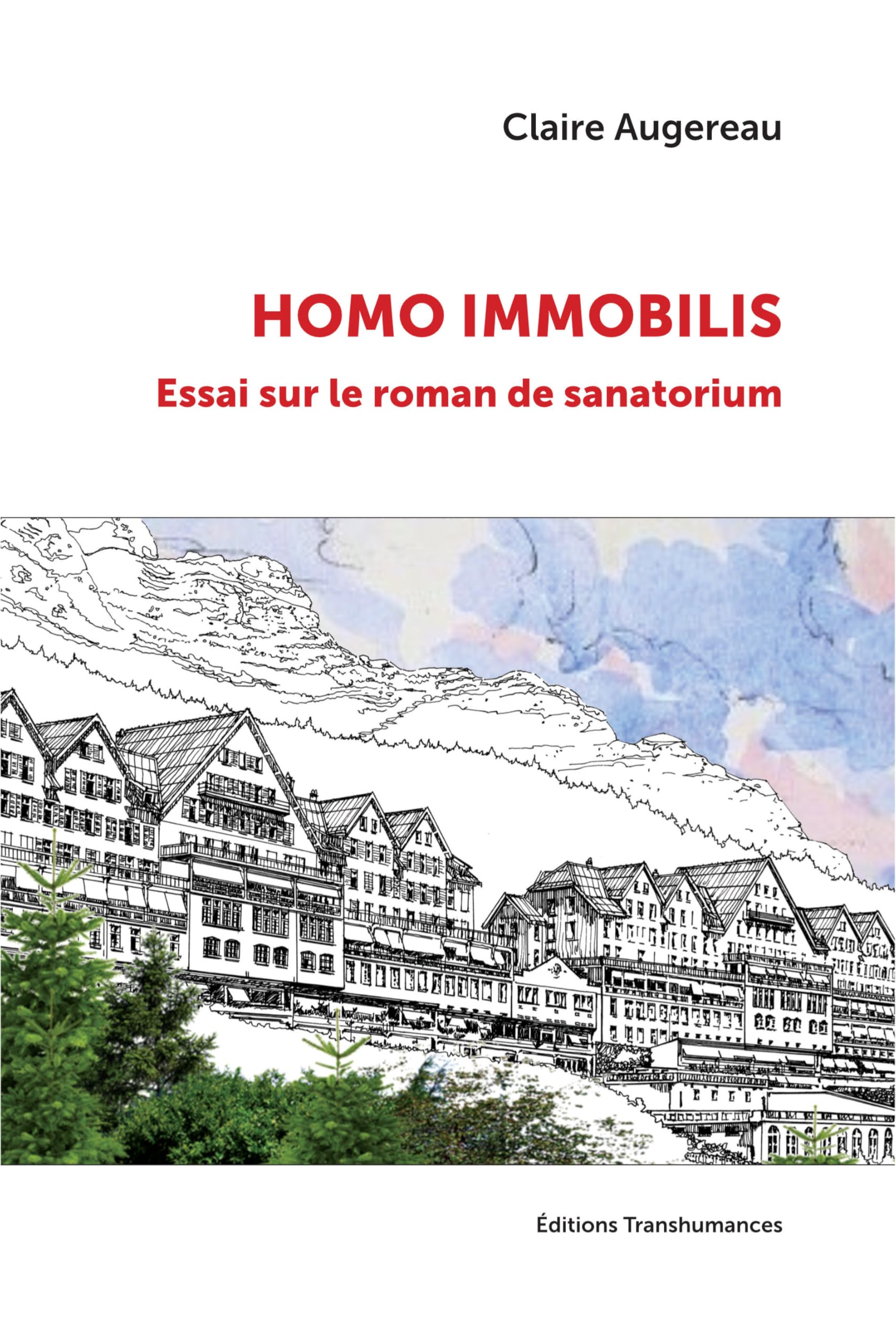 Homo immobilis : essai sur le roman de sanatorium book