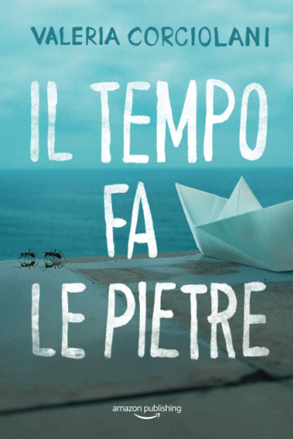 Il tempo fa le pietre book