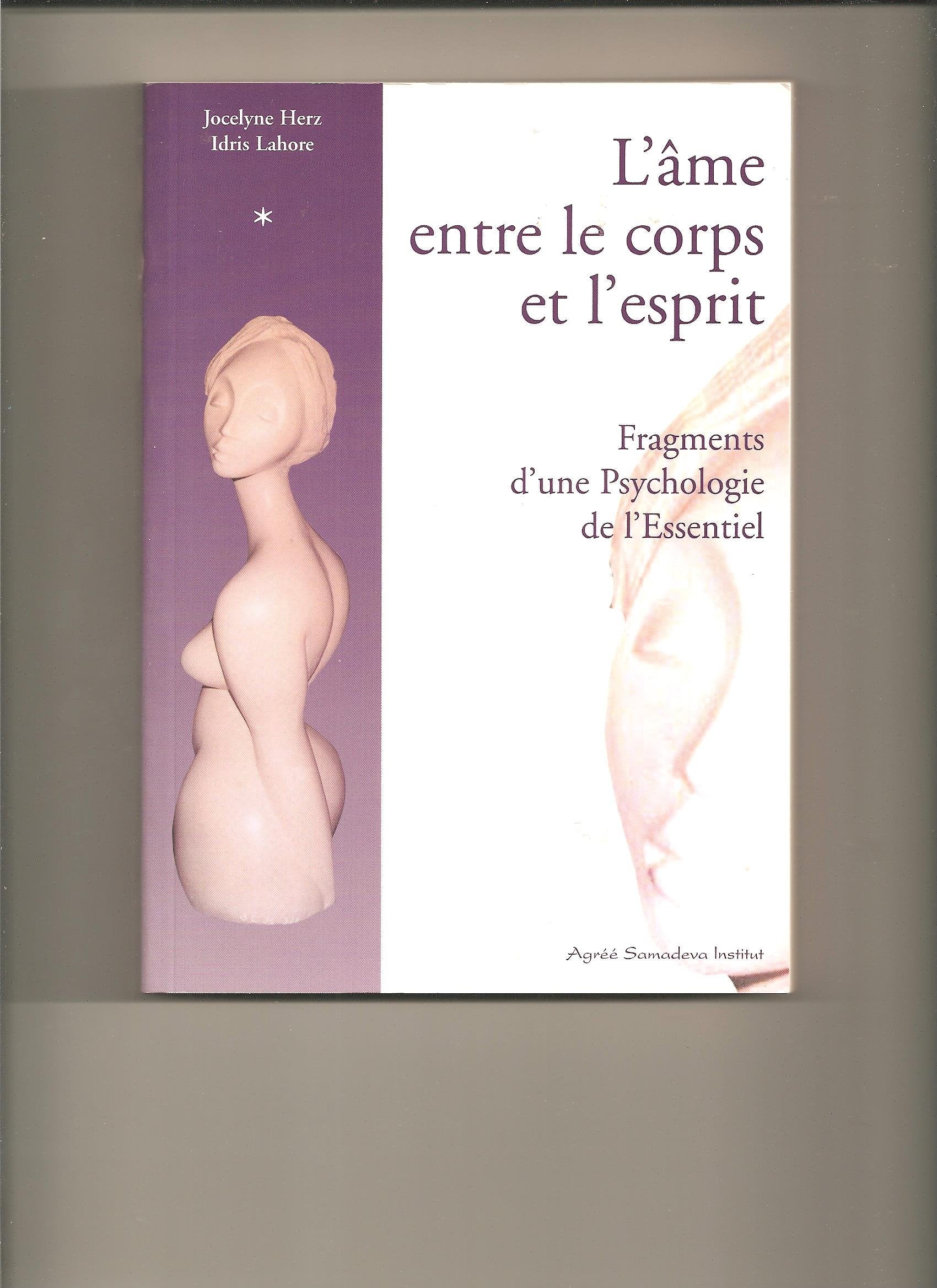 L'âme entre le corps et l'esprit : Fragments d'une psychologie de l'essentiel Books