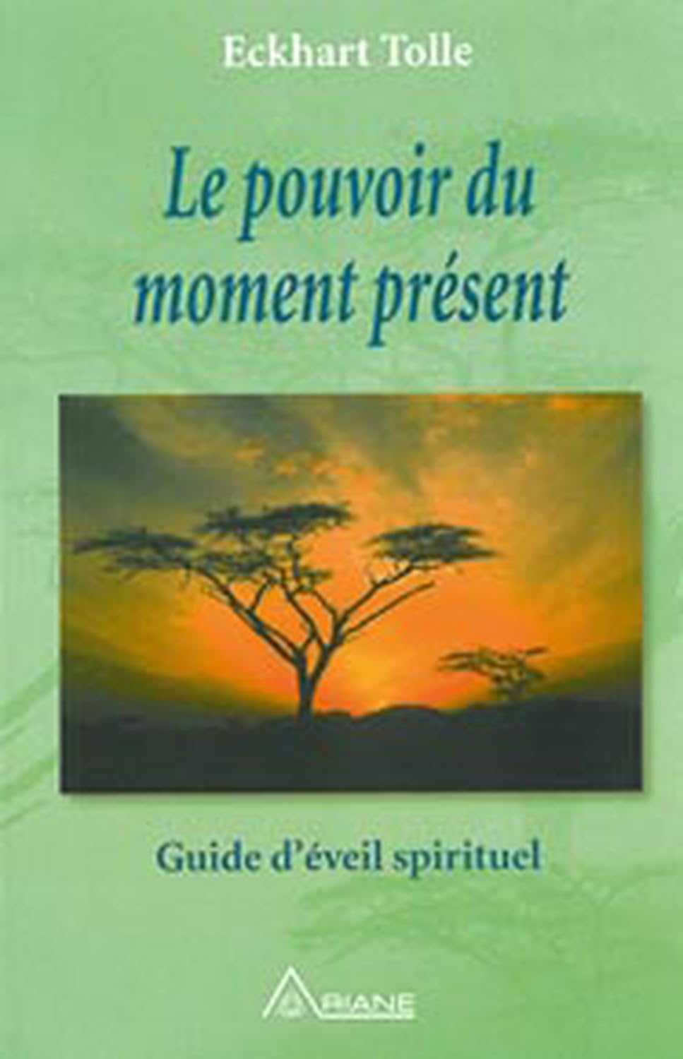 Le Pouvoir du moment présent : Guide d'éveil spirituel Religion & Esotericism