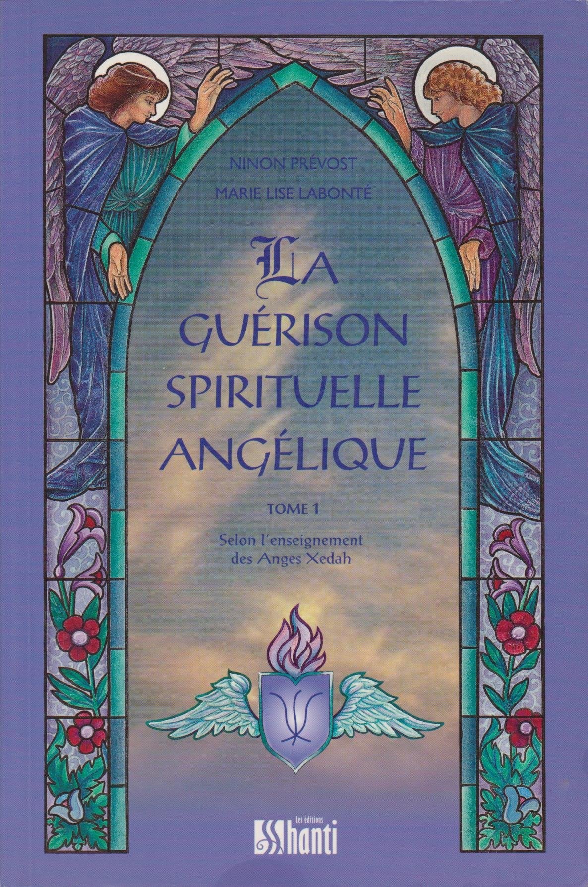 LA GUERISON SPIRITUELLE ANGELIQUE.: Tome 1 Books