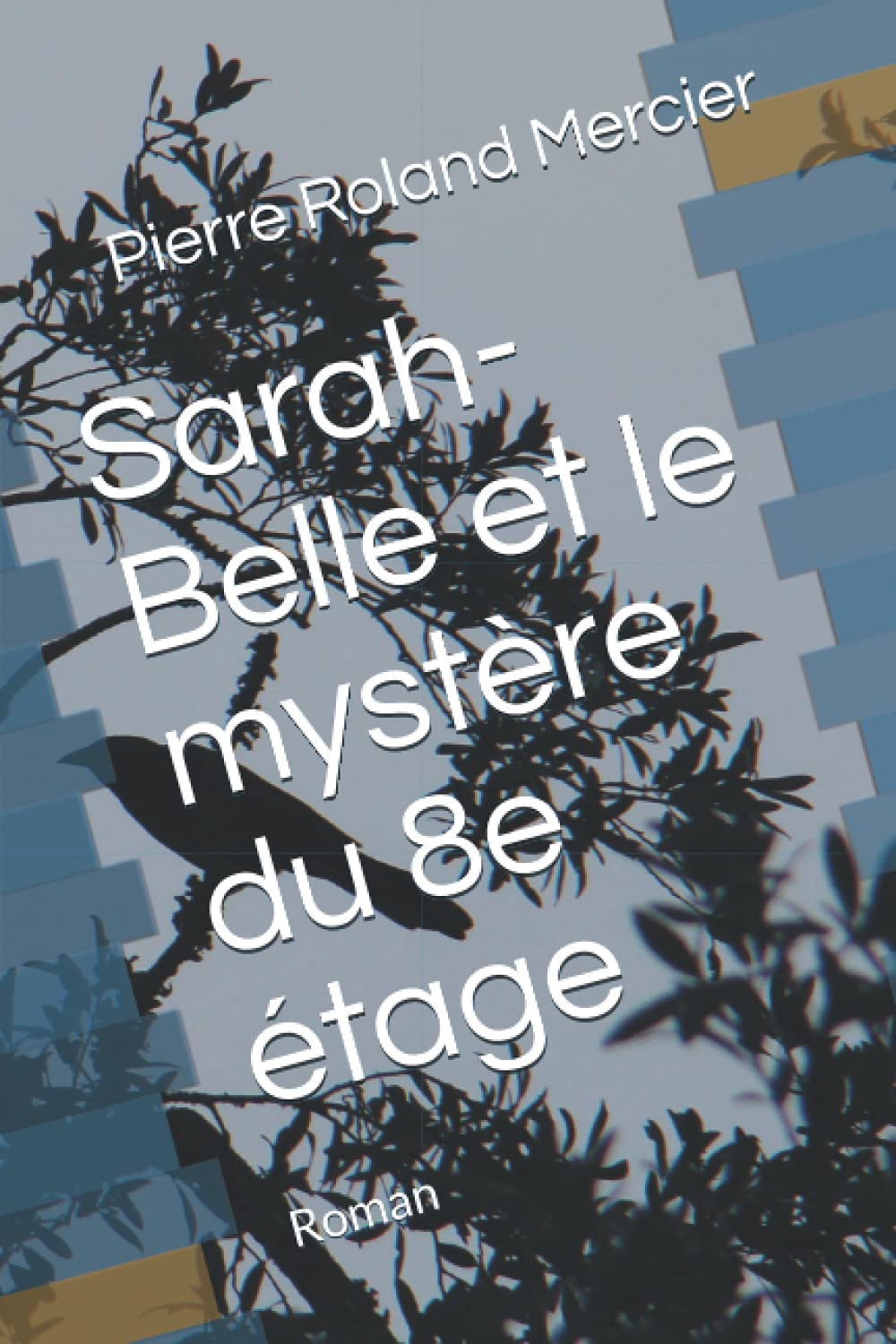 Sarah-Belle et le mystère du 8e étage (Les enquêtes de Sarah-Belle Leroy, Band 2) Detective & CSI