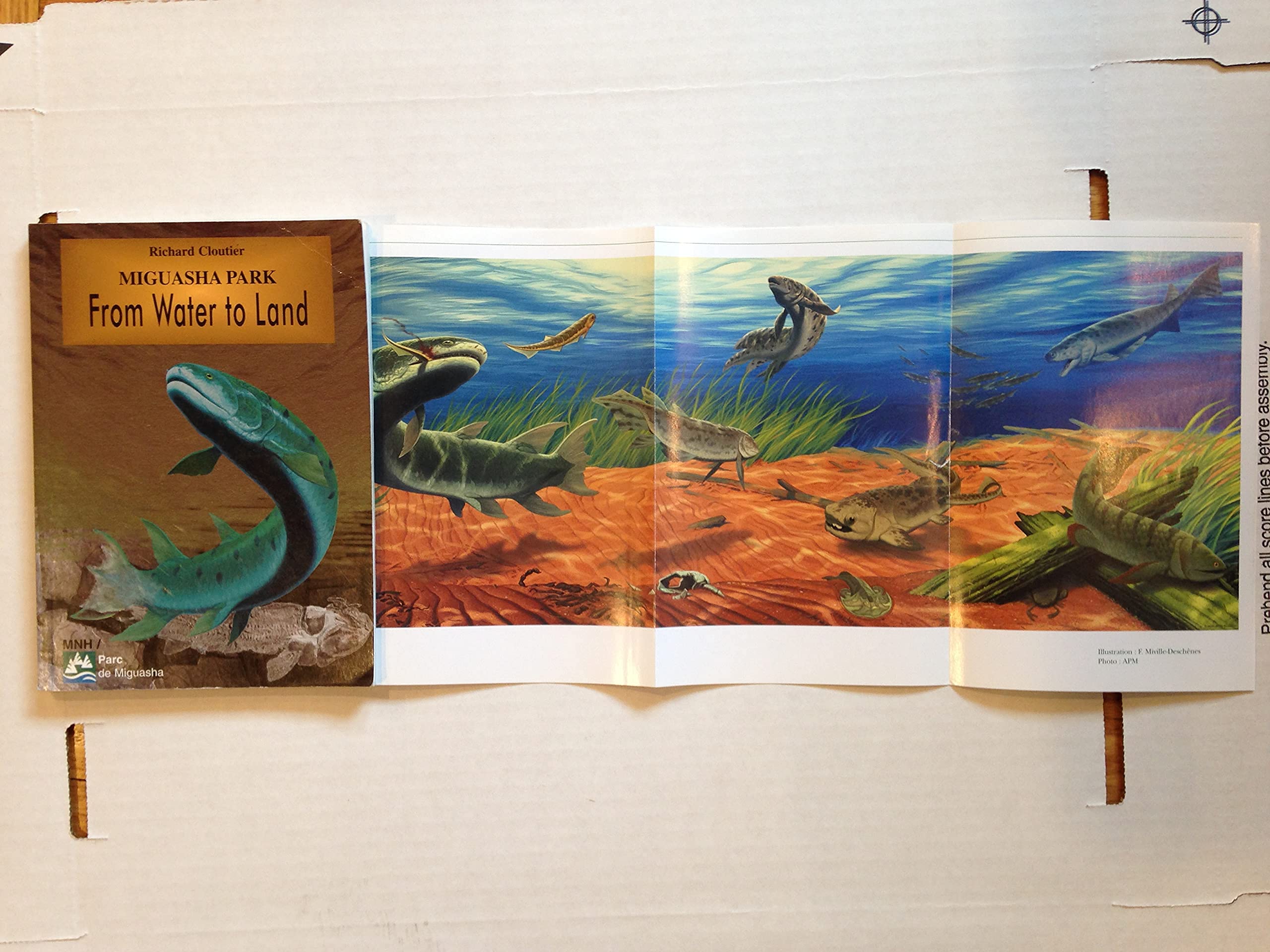 Miguasha Park : From Water to Land Books