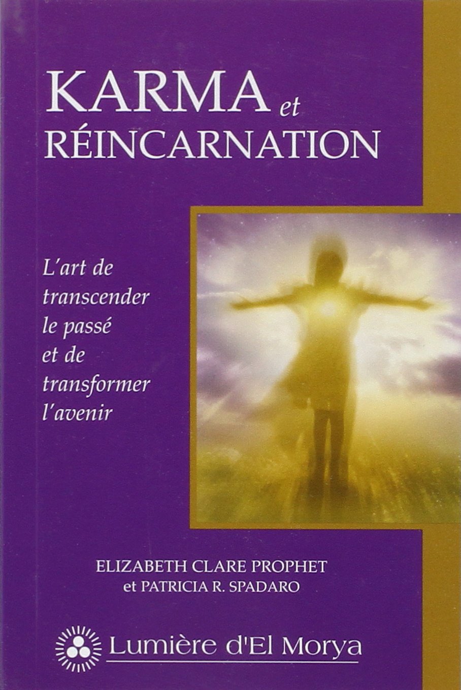 Karma et réincarnation: L'art de transcender le passé et de transformer l'avenir Religion & Esotericism